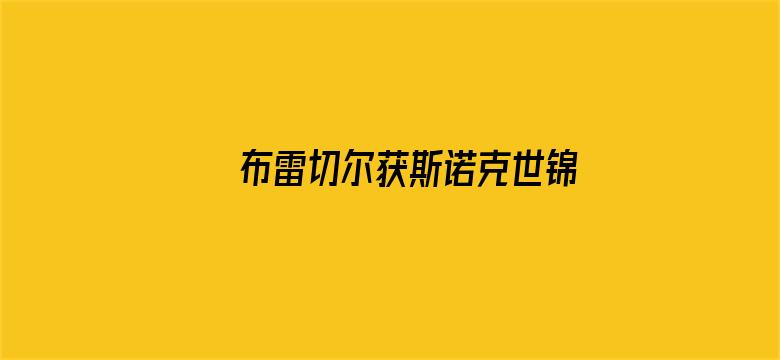 布雷切尔获斯诺克世锦赛冠军